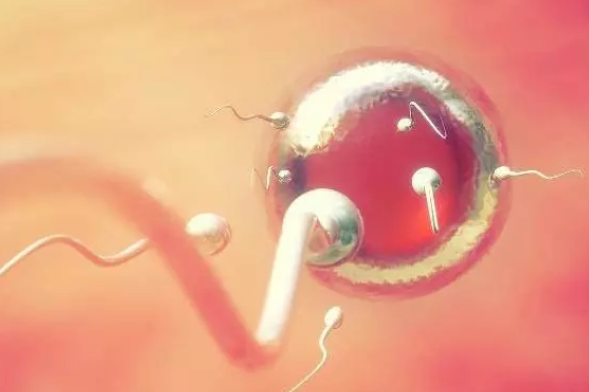 2019年2月21日受孕生男生女 農(nóng)歷正月十七懷孕生男孩還是女孩