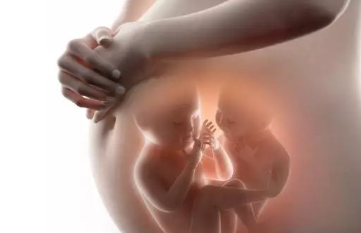 2019年2月22日受孕生男生女 農(nóng)歷正月十八懷孕生男孩還是女孩