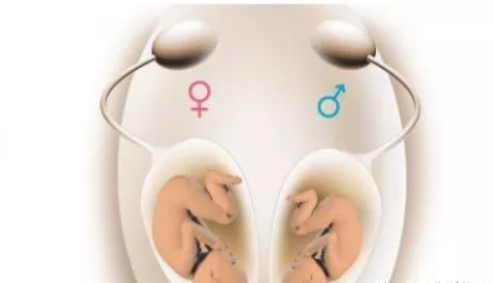 2019年2月25日受孕生男生女 農歷正月二十一懷孕生男孩還是女孩