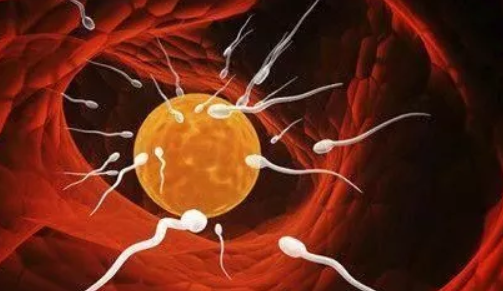 2019年2月25日受孕生男生女 農歷正月二十一懷孕生男孩還是女孩