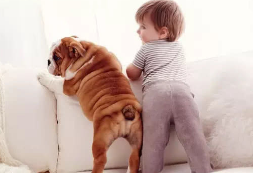 家庭成員教育理念不一致怎么辦 家庭教育理念不統(tǒng)一怎么辦