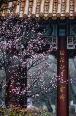 2月再見的心情說說圖片 再見2月說說朋友圈句子 2月再見的心情說說圖片 再見2月說說朋友圈句子