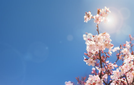 再見二月三月你好的心情說說 最美三月心情說說