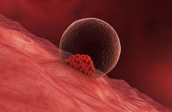 卵泡沒發育成熟就排卵怎么辦 小卵泡排卵會導致不孕嗎