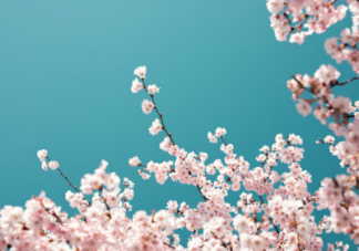 再見二月三月你好的心情說說 最美三月心情說說