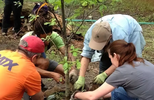 幼兒園植樹節活動方案2019 幼師植樹節活動方案大全