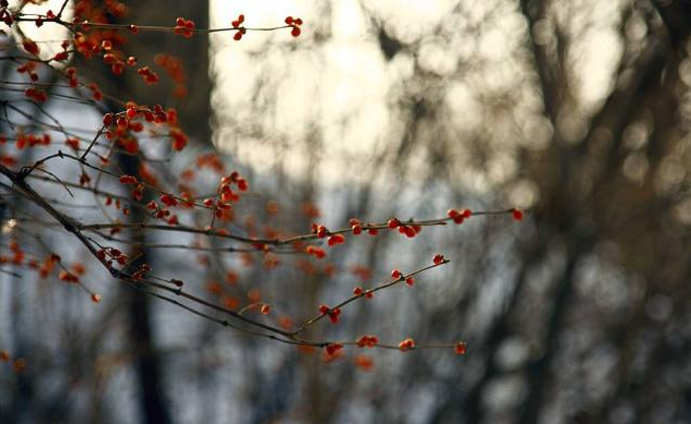 有關驚蟄的習俗有哪些 關于驚蟄節氣諺語介紹