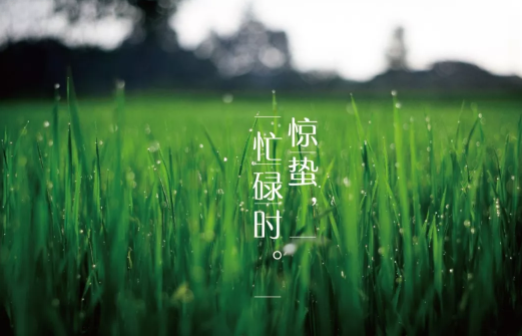 2019驚蟄節(jié)氣祝福語 驚蟄朋友圈說說句子 2019驚蟄節(jié)氣祝福語 驚蟄朋友圈說說句子