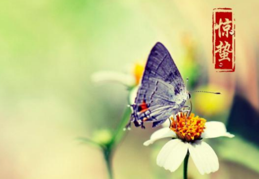 驚蟄有哪些習俗 驚蟄吃什么傳統食物