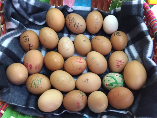 幼兒園春分立蛋教案 2019幼兒園春分立蛋教案大全 幼兒園春分立蛋教案 2019幼兒園春分立蛋教案大全