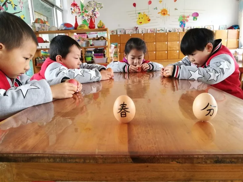 幼兒園春分立蛋教案 2019幼兒園春分立蛋教案大全 幼兒園春分立蛋教案 2019幼兒園春分立蛋教案大全