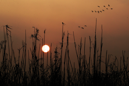 驚蟄節氣如何養生 驚蟄養生吃什么好2019