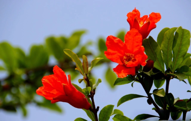 驚蟄節氣如何養生 驚蟄養生吃什么好2019