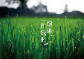 2019驚蟄節氣祝福語 驚蟄朋友圈說說句子