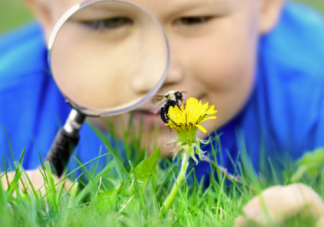 驚蟄和打雷有什么關系 驚蟄打雷好還是不打雷好