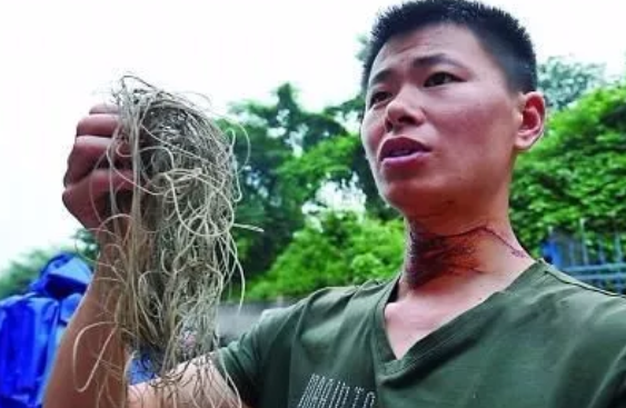 帶孩子放風(fēng)箏注意事項(xiàng) 風(fēng)箏的安全隱患 帶孩子放風(fēng)箏注意事項(xiàng) 風(fēng)箏的安全隱患