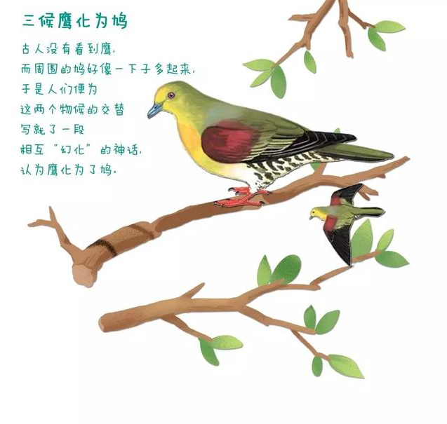 今日驚蟄小詩 關于驚蟄詩句一覽2019 今日驚蟄小詩 關于驚蟄詩句一覽2019