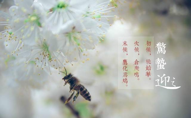 今日驚蟄心情說說2019 今日驚蟄說說配圖