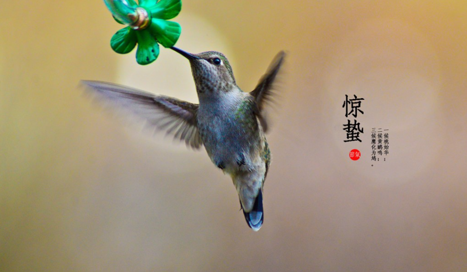 今日驚蟄心情說說2019 今日驚蟄說說配圖