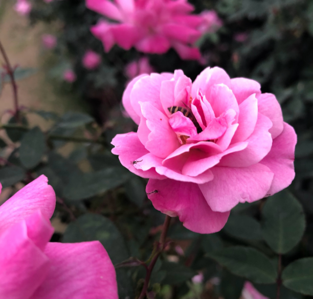 今日驚蟄的心情說(shuō)說(shuō)圖片 今日驚蟄的早安心語(yǔ)2019 今日驚蟄的心情說(shuō)說(shuō)圖片 今日驚蟄的早安心語(yǔ)2019