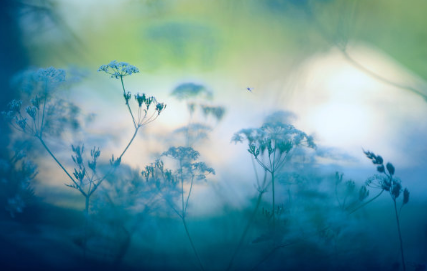 節日說養生之驚蟄 驚蟄你知道該如何養生嗎