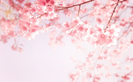 天氣好了心情好的說說 關于天氣好心情好說說配圖 天氣好了心情好的說說 關于天氣好心情好說說配圖