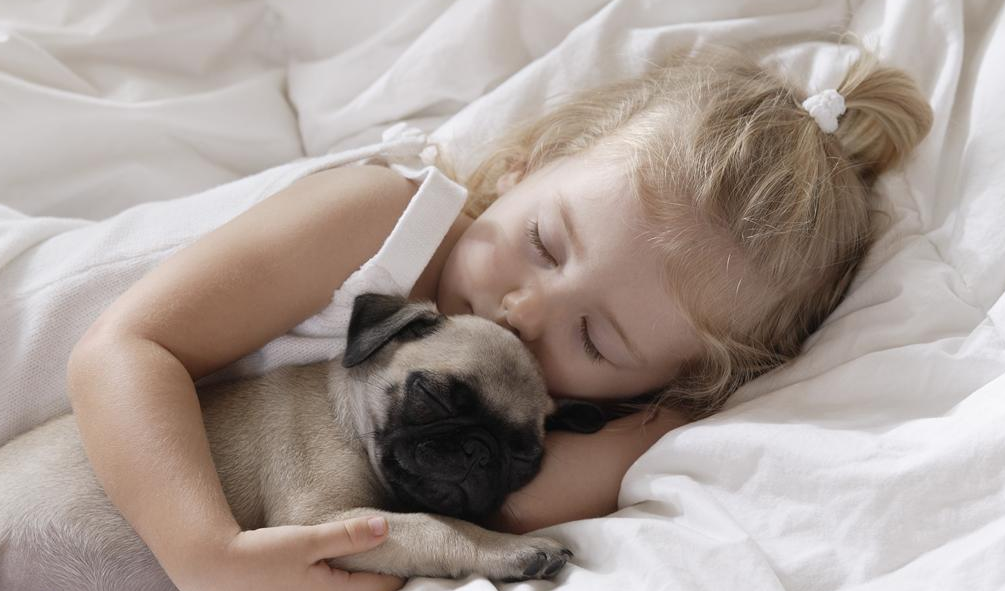 怎么判斷孩子有沒有貧血 孩子缺鐵判斷方法 怎么判斷孩子有沒有貧血 孩子缺鐵判斷方法
