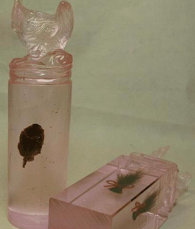 寶寶臍帶痂怎么保留 保留臍帶痂的方法