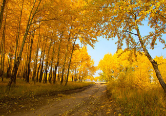 2019春天備孕好不好 春天和秋天備孕哪個好