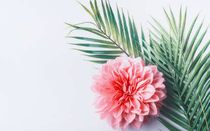 2019婦女節活動策劃方案 2019的婦女節活動