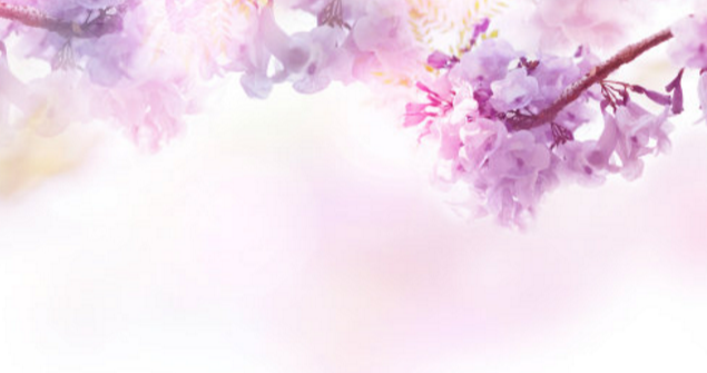 2019婦女節活動策劃方案 2019的婦女節活動