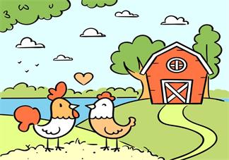 益智寶寶睡前故事 誰偷了雞寶寶