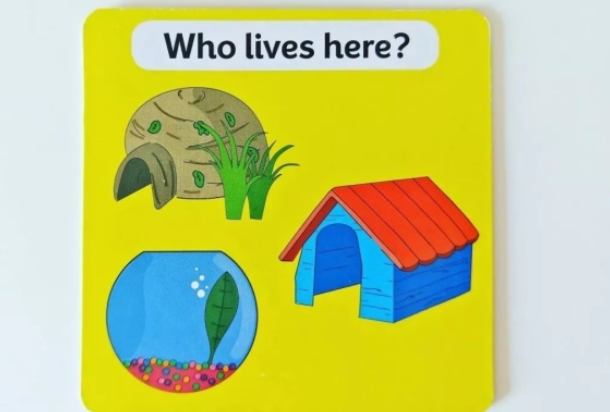 孩子記憶力差怎么鍛煉 提升孩子記憶力的方法