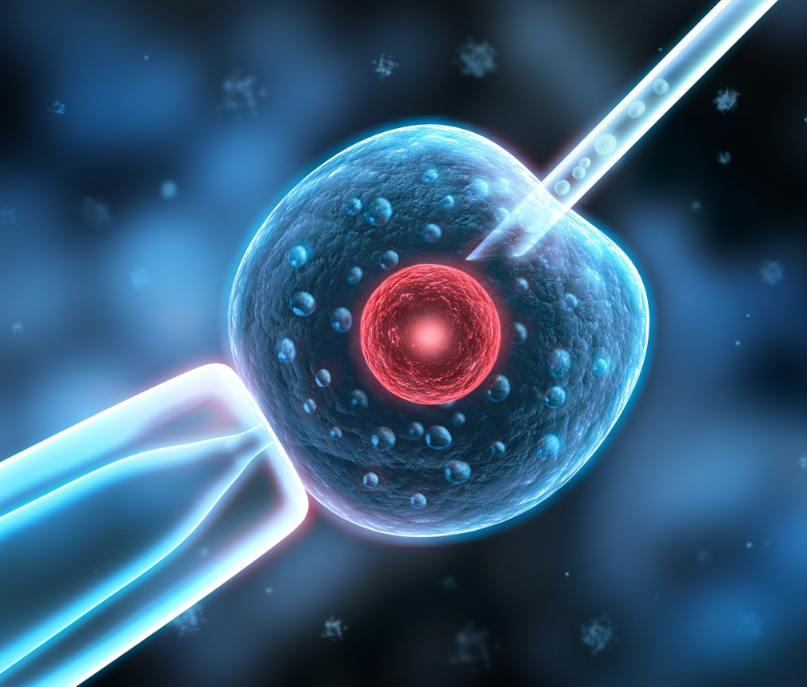 做試管嬰兒的成功率有多大 影響試管嬰兒的成功率因素 做試管嬰兒的成功率有多大 影響試管嬰兒的成功率因素