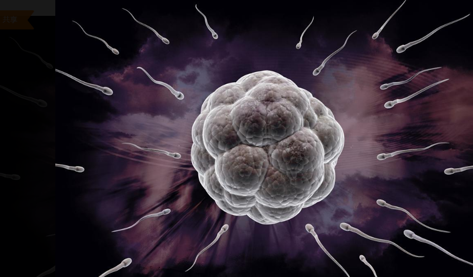 做試管嬰兒的成功率有多大 影響試管嬰兒的成功率因素 做試管嬰兒的成功率有多大 影響試管嬰兒的成功率因素