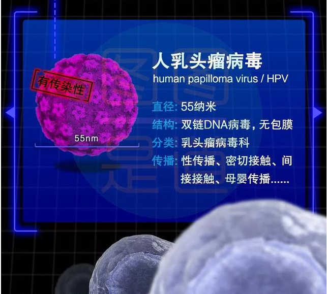 男性也可以打宮頸疫苗嗎 男性打宮頸疫苗可以預防什么疾病 男性也可以打宮頸疫苗嗎 男性打宮頸疫苗可以預防什么疾病