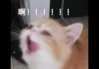  生日和婦女節同一天 生日在婦女節的心情說說