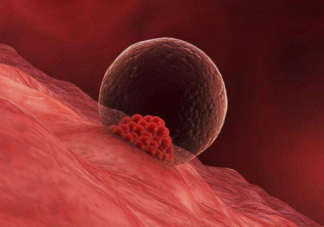 怎么將卵子養的又大又圓 吃什么促進卵泡發育