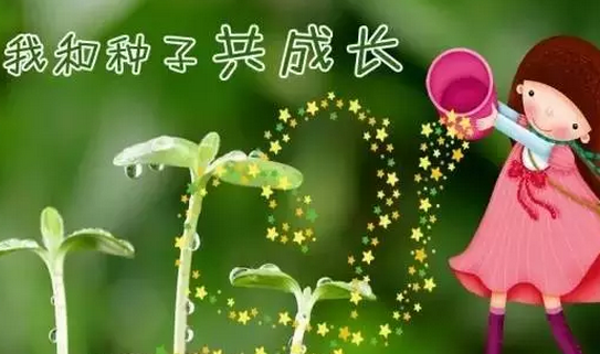 2019幼兒園植樹節(jié)活動怎么開展 大中小班活動開展