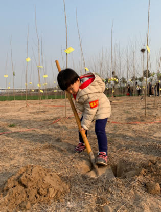 植樹節(jié)活動通知 物業(yè)社區(qū)植樹節(jié)活動通知怎么寫