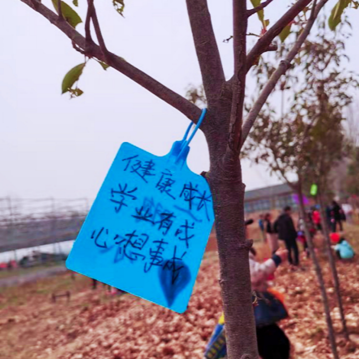 植樹節(jié)活動通知 物業(yè)社區(qū)植樹節(jié)活動通知怎么寫