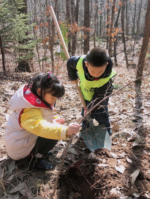 關于和寶寶一起去植樹的說說 寶寶植樹節說說朋友圈