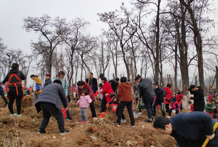 關于和寶寶一起去植樹的說說 寶寶植樹節說說朋友圈