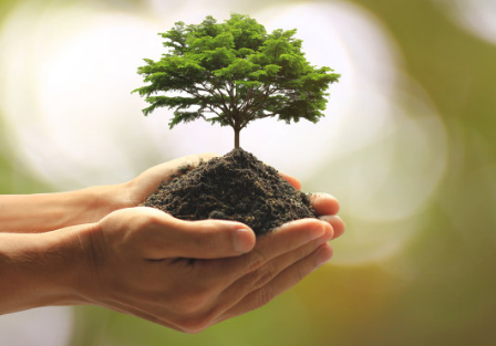 小區(qū)植樹節(jié)活動(dòng)邀請(qǐng)函 關(guān)于植樹節(jié)活動(dòng)的通知 小區(qū)植樹節(jié)活動(dòng)邀請(qǐng)函 關(guān)于植樹節(jié)活動(dòng)的通知