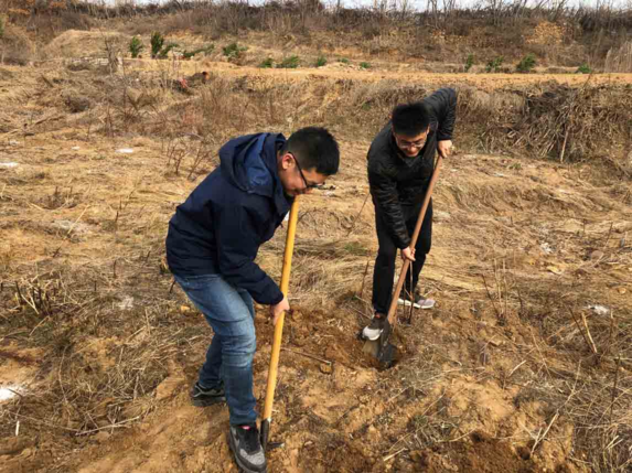 植樹節通知內容怎么寫 2019植樹節活動通知