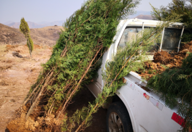 植樹節通知內容怎么寫 2019植樹節活動通知