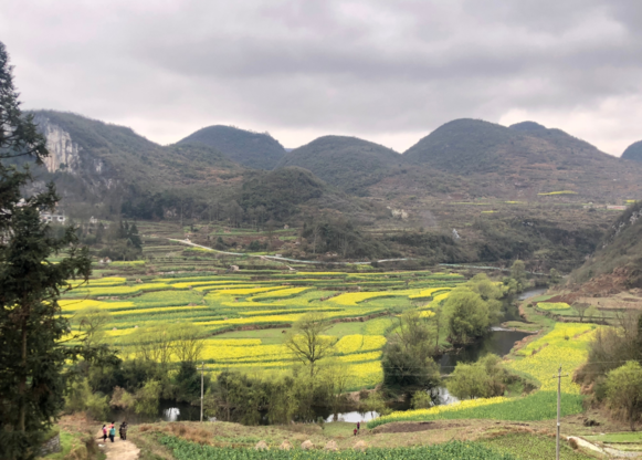 幼兒園植樹節通知家長怎么寫 幼兒園植樹節通知方案2019