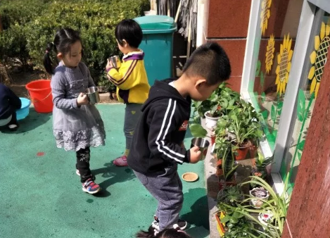 幼兒園植樹節活動報道 312幼兒園植樹節活動內容