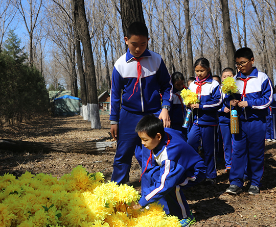 2019清明節主題活動如何開展 清明節的活動方案 2019清明節主題活動如何開展 清明節的活動方案