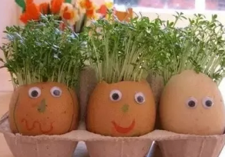 2019幼兒園植樹節(jié)現(xiàn)場精彩活動報道 幼兒植樹節(jié)如何開展的